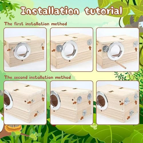 Jortmrd Nistkasten Wellensittich Vogelnest Brutkasten für Vögel Transparentes Design Vogelzuchtbox Vogelzucht Vogelhaus aus Holz für Sittich Lovebirds Papageien (12x12x19,5cm)