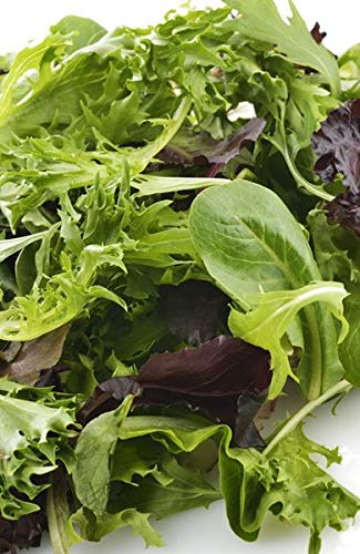 Sgaravatti Busta Semi Orto Misticanza Di Lattughe
