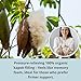 First Organic Cotton Pregnancy Pillow for Sleeping & Baby Feeding made with Natural Kapok Filling – Cooling Nursing & Comfort Pillow for Maternity Support & Side Sleepers – Removable Cover Included!