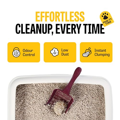 Image of PetCrux Pet Exclusive White Sand Unscented Cat Litter | Made with the Highest Grade White Sand | Superior Odour Control | 99.9% Dust Free Scoopable (for Multiple Cats), 5kg, Pack of 2