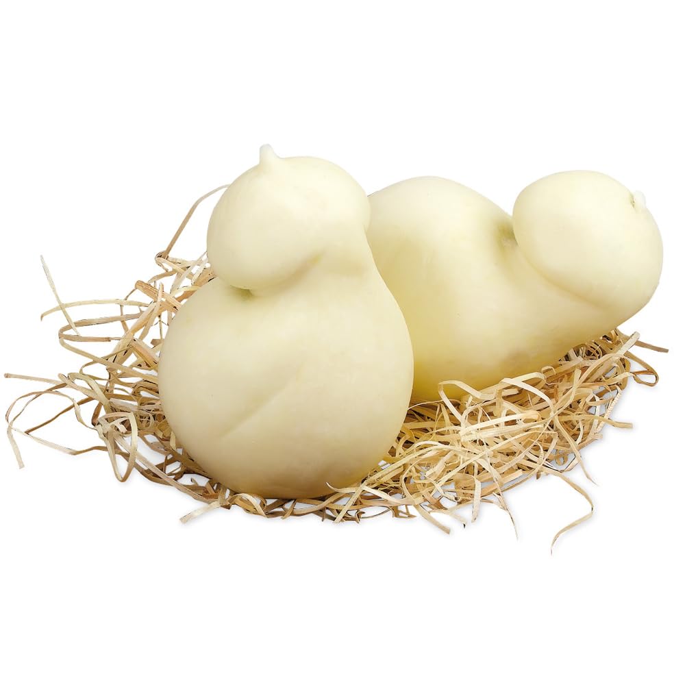 Scamorza aus Buafala-Milch | Käse Mail | Frischkäse | 4 Stück à 250 g | 1 kg | Battipaglia | Campania