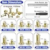YORANYO 110Sets Chicago Screws Leather Rivets Assorted Screw Rivets Chicago Binding Screws for Decorate and Repair Leather Craft Belt Bag Shoes Purse Bookbinding (Gold, M5*4,5,6,8,10,12) #1