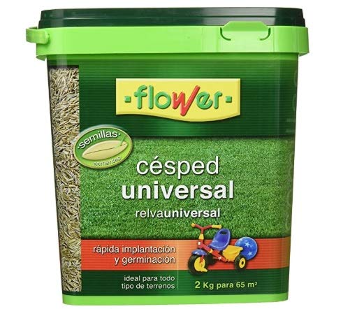 Semilla Césped Universal. Cubo de 2 Kg. Para 65 metros cuadrados