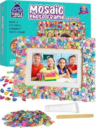 PURPLE LADYBUG DIY Mosaic Photo Frame Craft Kit - Summer Activities...