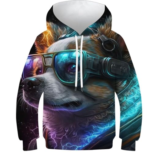 Sweat-shirt corgi enfant cadeau drôle et cool pour l'automne pull à capuche