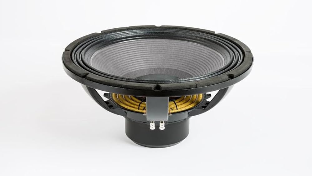 Amazon.com: 18 Sound 18NLW4500.8 18-inch Extended Low Frequency Amazon.com: 18 Sound 18NLW4500.8 18-inch Extended Low Frequency