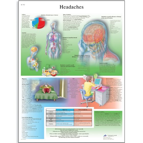 Image of 3B Scientific VR1714L Glossy UV Resistant Laminated Paper Headaches Anatomical Chart, Poster Size 20 inch Width x 26 inch Height,Yellow