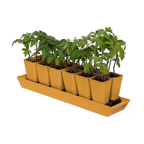 Gardener’s Supply Company Gardener’s Best XL Seed Starting Kit Green