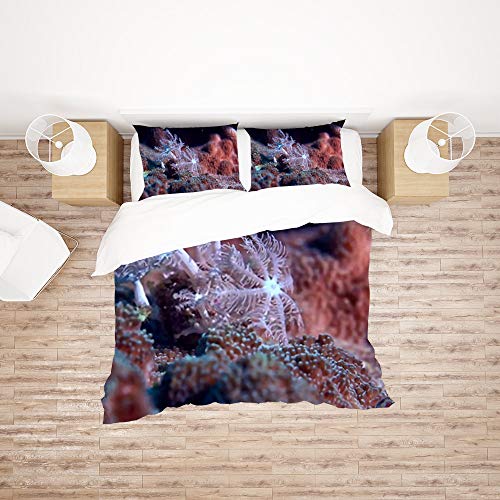 Housses de couette microfibre CHEHONG infroissables sans repassage - 3
