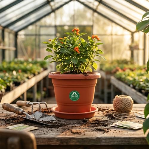 Image of TrustBasket Plastic Pots with Bottom Plates - 12 Pcs (14 inch) | Gamla for Plants with Saucer | Pots and planters with Tray | Garden pots & Bottom Plates