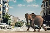 Puzzle 500 Pièces pour Adultes - Éléphant dans la ville Grand Puzzle Dur pour Adultes - Puzzle Paysage avec Pièces Découpées avec Précision-52x38cm(20.47x41.96inch)