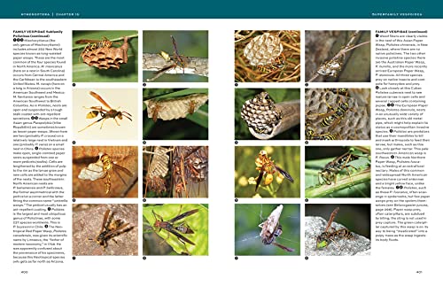 Hymenoptera: The Natural History and Diversity of Wasps, Bees and Ants - Image 6