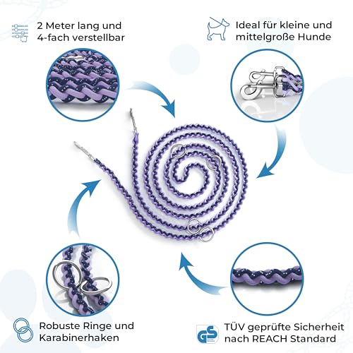Testnote: Sehr gut - Hundeleine reflektierend I 2m, verstellbar, wetterfest & reißfest bis 250 kg I Paracord Führleine, Umhängeleine I kleine - große Hunde