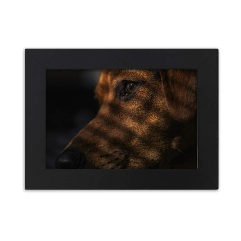 DIYthinker Dog Pet Animal Sentimental Picture Desktop Photo Frame Ornaments Picture Art Painting Gift