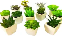Conjunto com 6 Vasos de Cerâmica e Mini Suculentas Artificiais - Decore com Charme e Elegância!