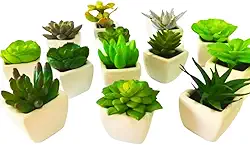 Conjunto com 6 Vasos de Cerâmica e Mini Suculentas Artificiais - Decore com Charme e Elegância!