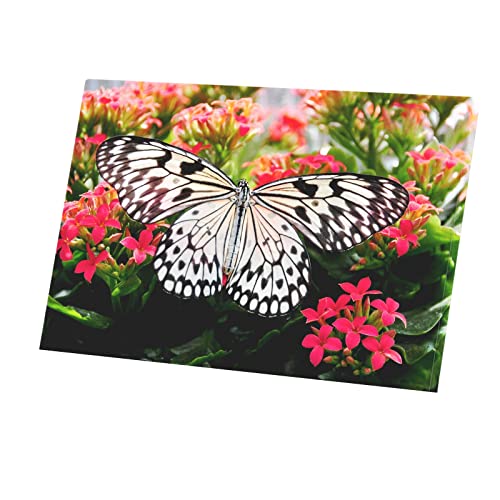Poster Papillon Noir et Blanc Déco Murale Idéale pour Habiller un Mur Vide