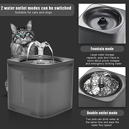 Fuente de agua automática para gatos de 2L miniatura 3
