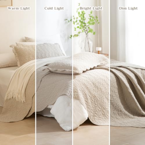 CozyTide Oversized King Quilt 120"x120",Stone-Washed Cotton Oversized King Bedspread,3 Pieces Wheat Leaves Scallop Lightweight Extra Large California King Quilt Coverlet Set Ultra Soft by CozyTide - Used condition - Image 7