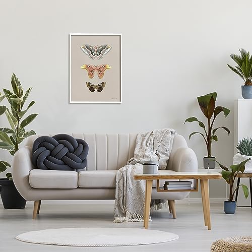 Image of 'Vintage Moth Specimens'| Framed Giclee Art | Stupell Industries | White, 24 x 30 Inches, Easy to Hang and Sturdy, Made in USA, by Danhui Nai
