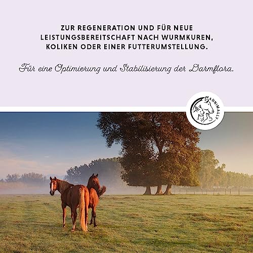 Annimally Probiotika Pulver für Pferde - 750g Darm Pulver mit Lebendhefe für eine gesunde Darmflora - Darmbakterien zur Darmsanierung beim Pferd, bei Kotwasser & Durchfall