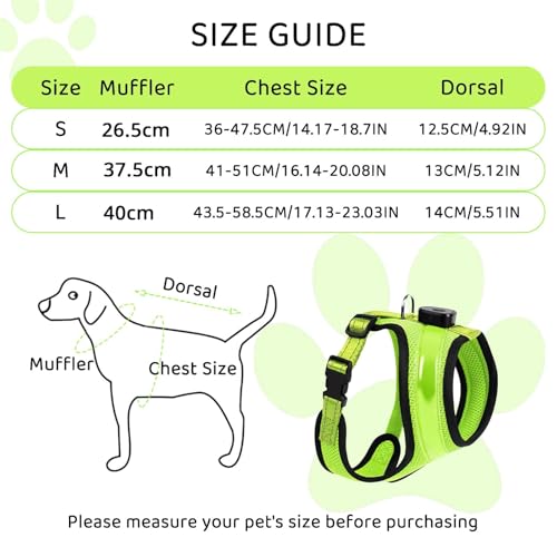 Fancysky Hundegeschirr Leuchtend Aufladbar Wiederaufladbarkeit, LED Leuchtgeschirr für Hunde, Atmungsaktive Hundegeschirre für Kleine und mittlere Hunde (M)
