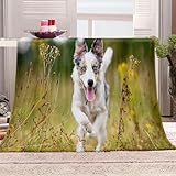 Photo Gallery kqylbm animale cane plaid divano invernale 130 x 150 cm coperta termica riscaldante coperta pile divano plaid divano Photo Gallery kqylbm animale cane plaid divano invernale 130 x 150 cm coperta termica riscaldante coperta pile divano plaid divano