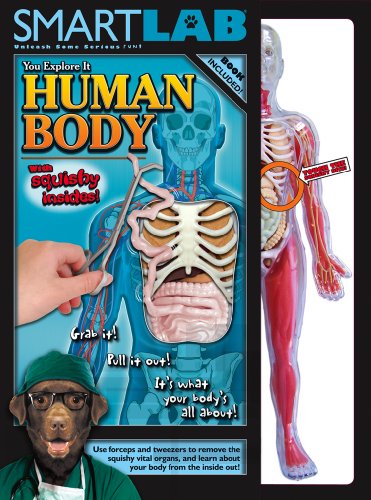 Smart Lab You Explore It: Human Body Model