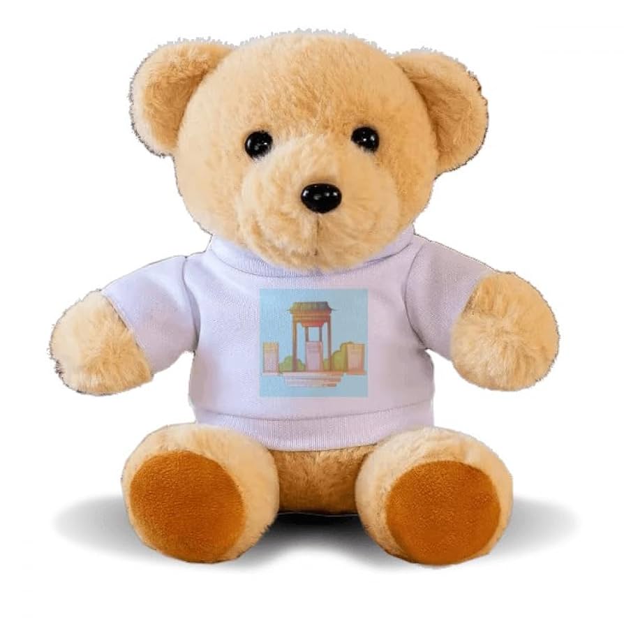 Brighton & Hove Albion クマのぬいぐるみ 日本未発売】現地購入ブライトン・アンド・ホーブ・アルビオン