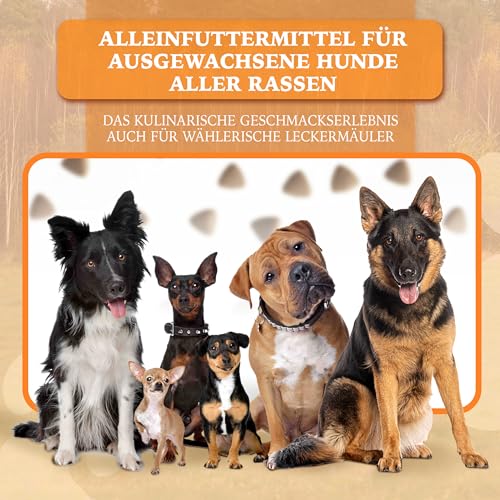 Wildborn Wild Mustang 2 kg Hundefutter – getreidefreies Trockenfutter für Hunde mit Süßkartoffel & Aroniabeeren – ideal für Allergiker, hypoallergen, empfohlen von Tier-Heilpraktikern