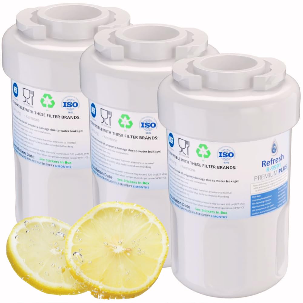 Filtre eau GE Smartwater MWF pour des glaçons cristallins