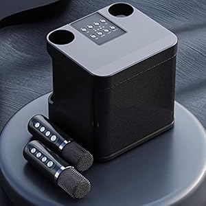 Ngary DTY022 Karaoke Odtwarzacz z Mikrofonami