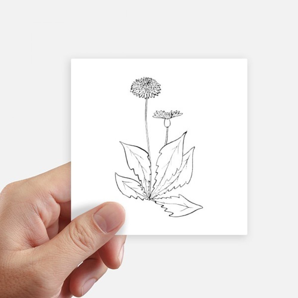 Autocollant carré pissenlit 10cm sticker mural pour ordinateur portable