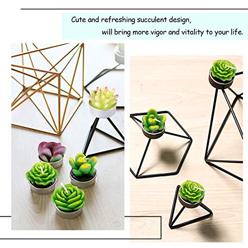 Swpeet 12Pcs Decorative Succulent Cactus Tealight Candles Kit, Cute Smokeless Succulent Plants Perfect For Candles Festival Wedding Props And House-Warming Party (N0.5-Candle) #TOP4