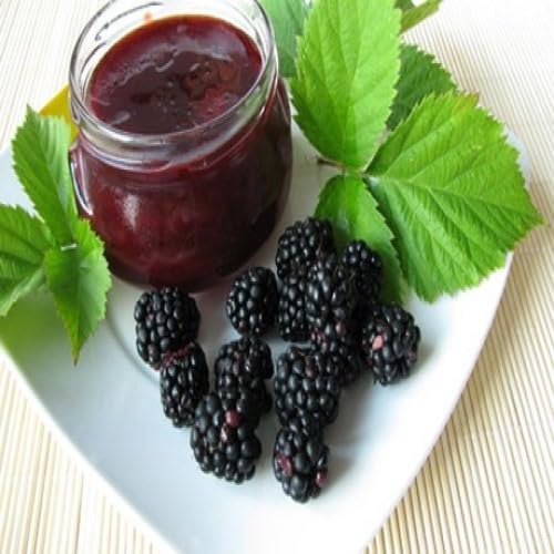 GLÜCK PASSIERT - aus Brombeeren Fruchtaufstrich ohne Stückchen fein passiert - 230g