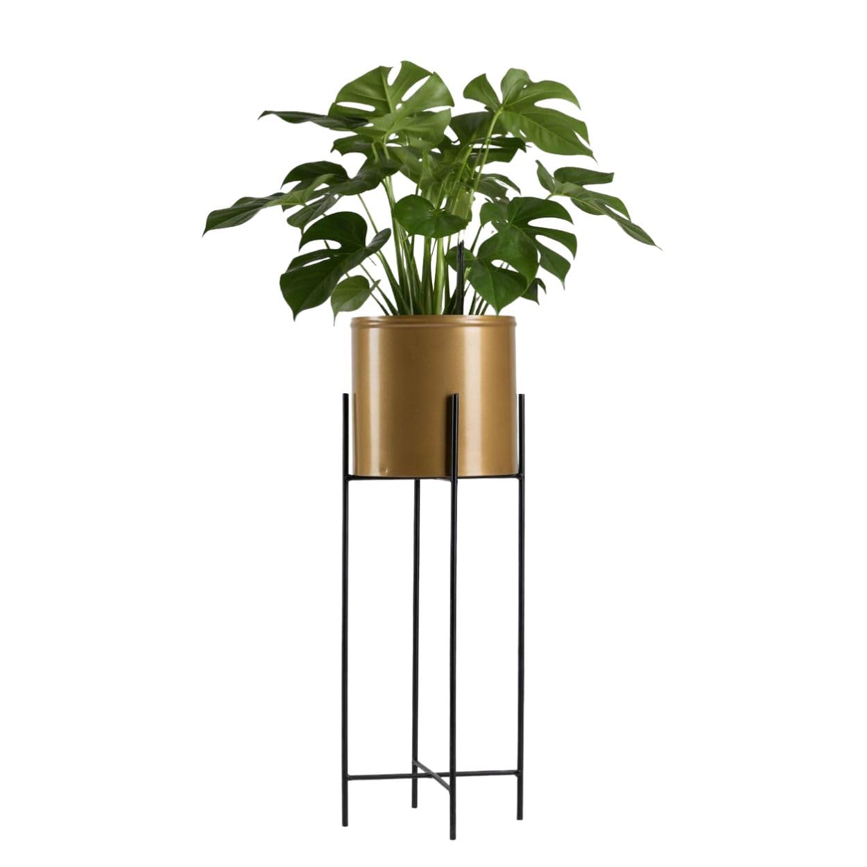 Howhomely Gold - Black 75 Cm Decorative Flower Pot Stand Metal Black Gold