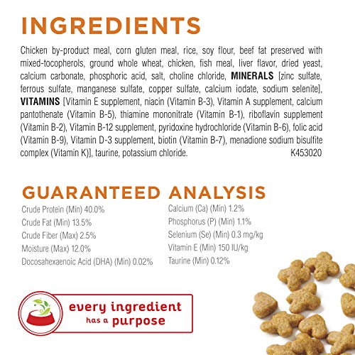 Purina Kitten Chow Dry Kitten Food, Nurture Muscle + Brain Development - (4) 6.3 Lb. Bags #TOP5