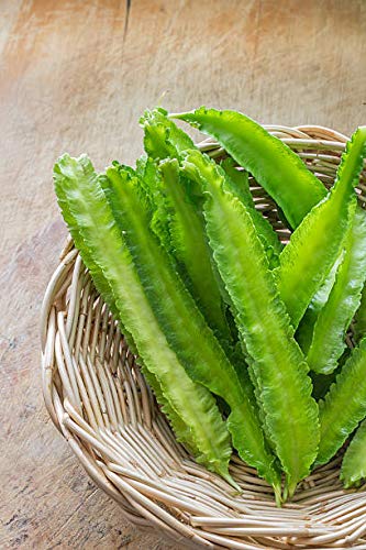 Creative Farmer Vegetable Seeds Charkoni-Sem Seeds - Winged Beans Seeds Perennial Herbs Seeds For Kitchen Plant Home Garden Seeds (B07N48GVP6) Amazon Price History, Amazon Price Tracker