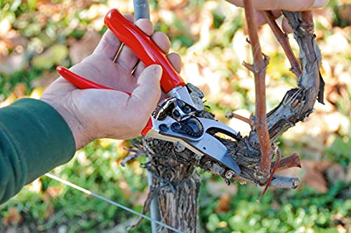 FELCO 8 snoeischaar (snede ø 25 mm, lengte 210 mm, snoeischaar voor rechtshandigen, aluminium handgrepen, ergonomisch… - Afbeelding 7