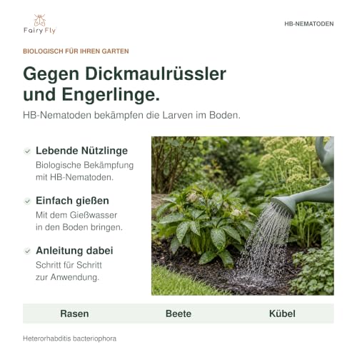 HB Nematoden gegen Dickmaulrüssler & Engerlinge - 15 Mio Nützlinge für 30 m² Schädlinge - FairyFly® – Ansicht 2
