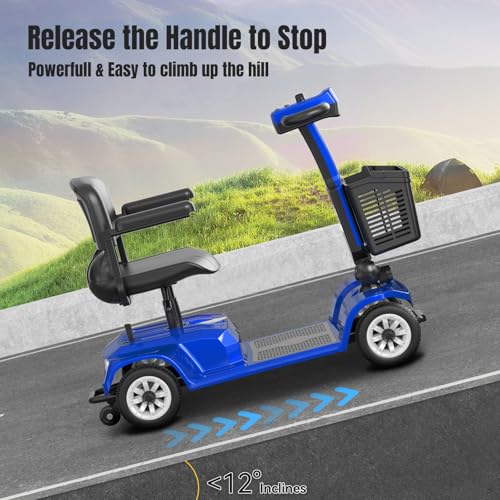 4 Wheel Mobility Scooter for Seniors & Adults,22 Miles