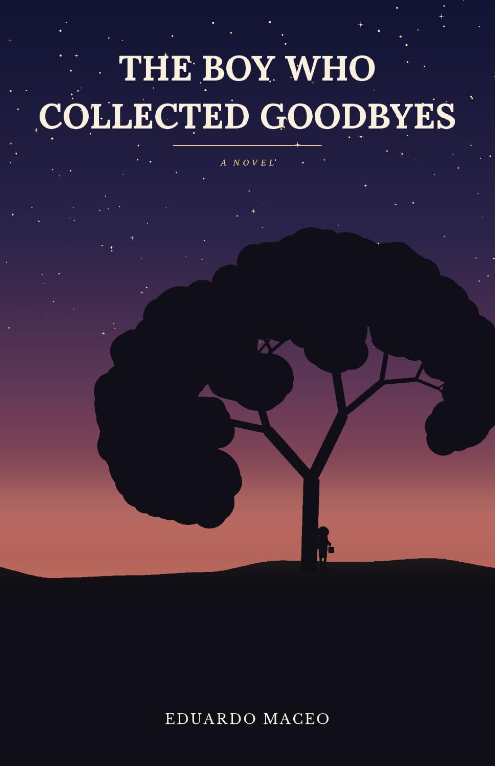 The Boy Who Collected Goodbyes