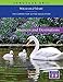 Journeys and Destinations Student Guide