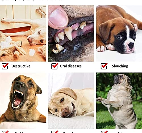 Image of Foodie Puppies Durable Pet Teething, Cleaning, Chewing, Biting Knotted Rope Toys for Dogs | Durable Dog Training Toy for Medium Dogs with 100% Natural Cotton (Handle Knotted Ball)