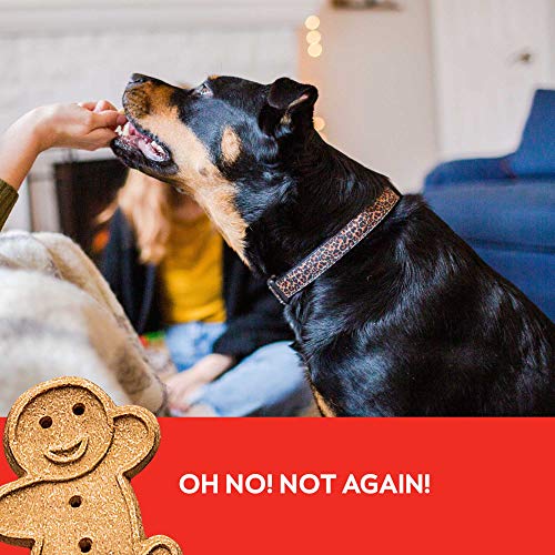 Buddy Biscuits Softies 5 Oz Pouch, Grain-Free Soft & Chewy, Natural Grilled Beef Flavor Dog Treats, Oven Baked in The USA
