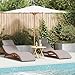 vidaXL Sonnenliege mit Kissen 2 pcs Taupe Massivholz Akazie, Stylische Outdoor-Liege, Moderne Liege, langlebige Sonnenliege, rechteckige Gartenliege für bequemes Entspannen
