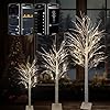 4FT 5FT 6FT Christmas Tree with Lights 3PACK Smart Lighted Birch Tree with APP Home Decor Warm White Timing Dimmer Group Control Music Sync Christmas Room Decorations IndoorOutdoor Use