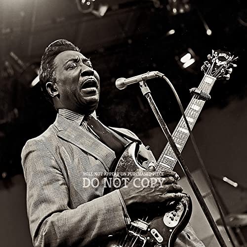 Affiche Muddy Waters 28x28 : Sublimez votre salon avec une photo de concert rare