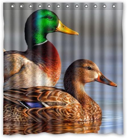 TT Family Window Curtain Stylish Living Elegant Oil Painting Mandarin Duck Couple Art Fowl Bird Animal with Hooks 52"x63" (One Piece)