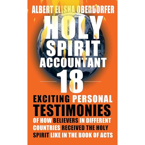 Holy Spirit Accountant Audiolibro Por Albert Elisha Oberdorfer arte de portada